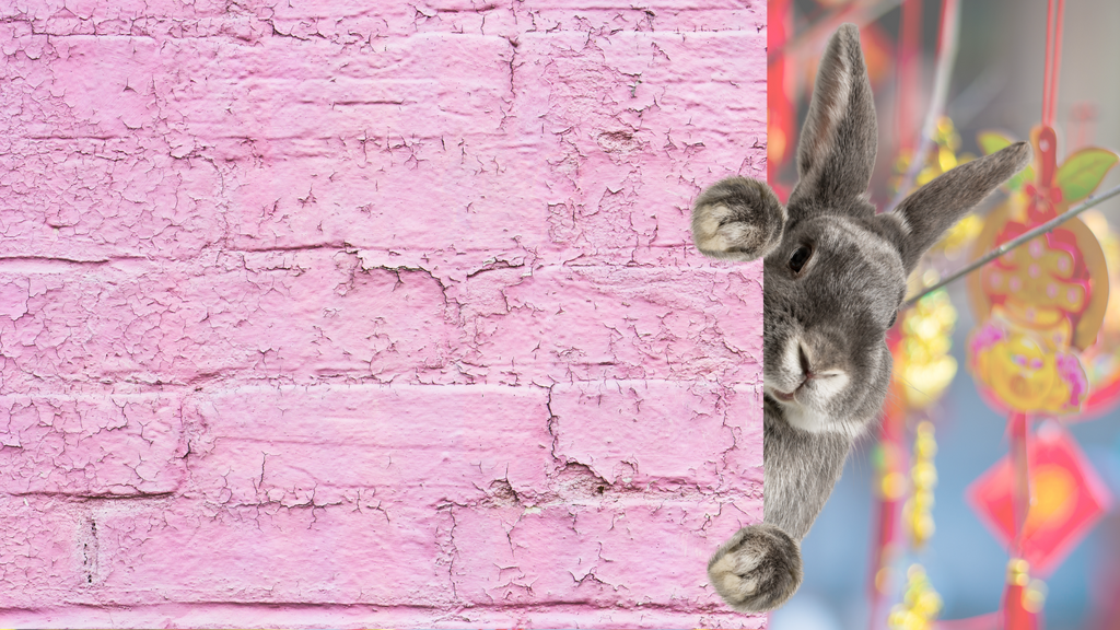 A bunny rabbit peaks around the corner of a pink brick wall