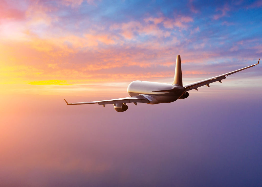 Fly a Friendlier Sky: Insider Tips from a Flight Attendant